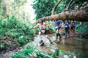 BIB: 
                            <button type="button" onclick="openModal(25478763)" class="btn btn-primary btn-sm float-right btn-popup" data-toggle="modal" data-target=".modal-high-quality">
                        <i class="fas fa-shopping-cart"></i> Add to Cart
                    </button>
                                            <button type="button" onclick="isThisMe(25478763, true)" class="btn btn-success btn-sm float-right btn-popup btn-isme hidden" data-toggle="tooltip" data-placement="bottom" title="นี่คือรูปของคุณใช่ไหม คลิกที่นี่เพื่อเอาเข้าอัลบั้ม">
                        <i class="fas fa-plus"></i> Add to album
                    </button>
                    <button type="button" onclick="isThisMe(25478763, false)" class="btn btn-warning btn-sm float-right btn-popup btn-isnotme hidden">
                        <i class="fas fa-ban"></i> Remove from album
                    </button>